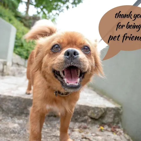 Naturena Agro-turismo *