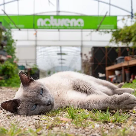 Naturena Agro-turismo *