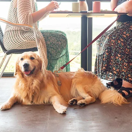 Landhaus Naturena Agro-turismo