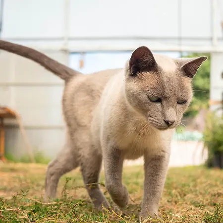 Naturena Agro-turismo Landhaus *