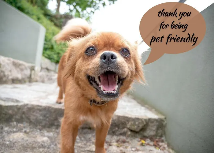 Naturena Agro-turismo *