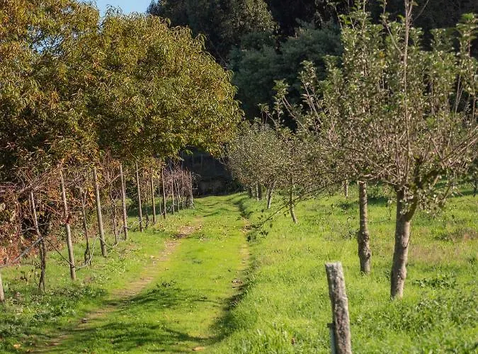 Εξοχικό σπίτι Naturena Agro-turismo Durrães