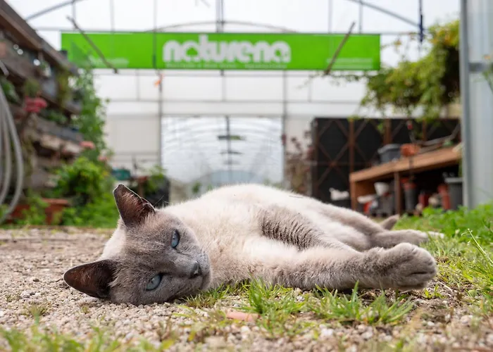 Naturena Agro-turismo *