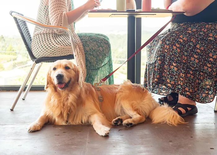 Casa de Campo Naturena Agro-turismo