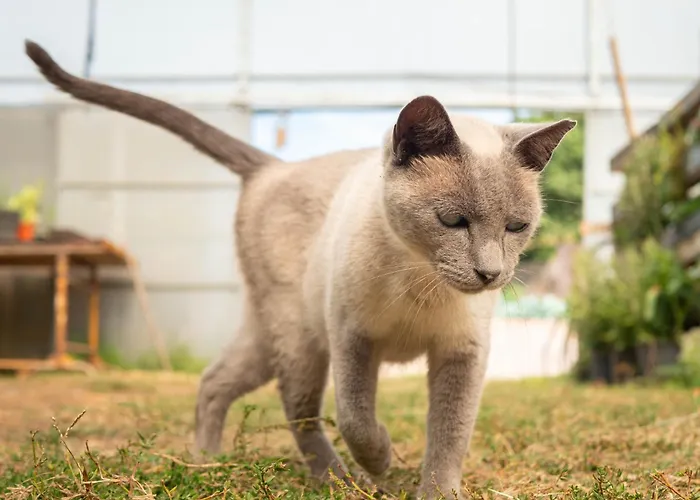 Naturena Agro-turismo Casa de Campo *